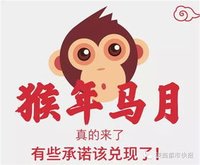 请问哪一年中间是哪个生肖，那年年底出生的人有什么特别的说法吗？