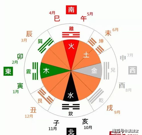 三、 干支五行命理学视角下的命局解读