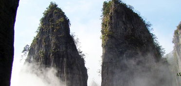 预订系统：一场与人工智能的殊死搏斗