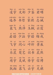 书朋——腹有诗书气自华