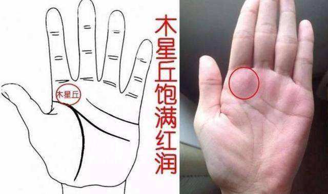 ：探究手相与投資決策之間可能存在的關聯