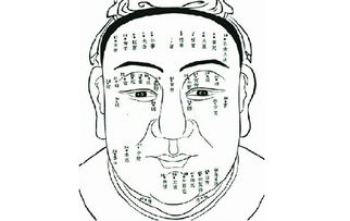 面相算命真的可信吗？看面相算命准确度高不高？