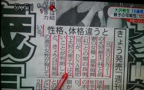 一、 研究背景与对象概述