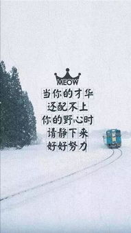 社会事件回顾及其对公共情绪影响评估