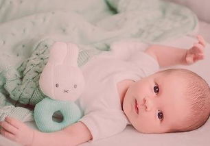 属兔宝宝中午13点后出生的命运有何特殊含义？