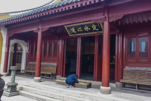 住宿奇谈：与蟑螂共舞