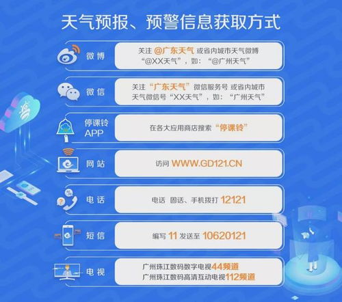 五、 综合建议与实施方案