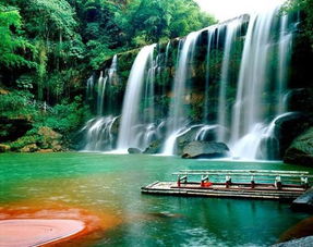 2026年最新骗局预警