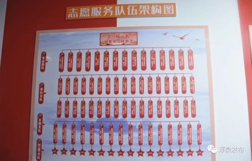 （三）专业学习了解与职业导向优化