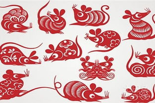 虎年十二生肖中，哪个生肖的姻缘运势最为理想呢？