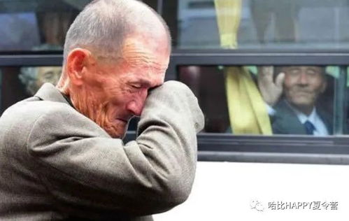 (3) 老年人男性群体（老翁）梦见栽葡萄树