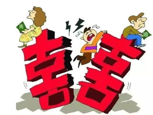 兔与狗之相生及调和策略