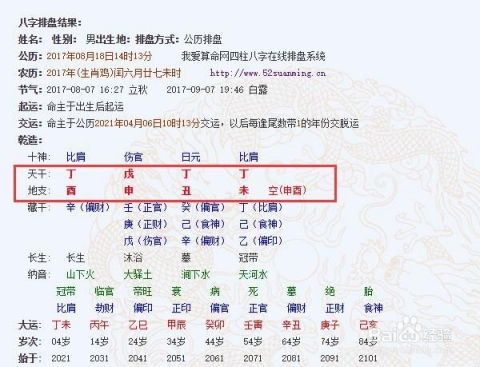 向佐的生辰八字具体是什么有什么含义？