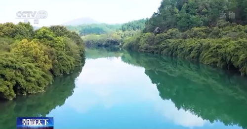 山地溪流案例——自然发源水对人居环境的正向影响