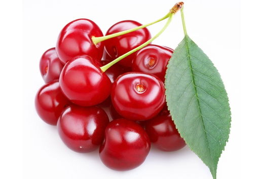 樱桃梦里的那些破事儿