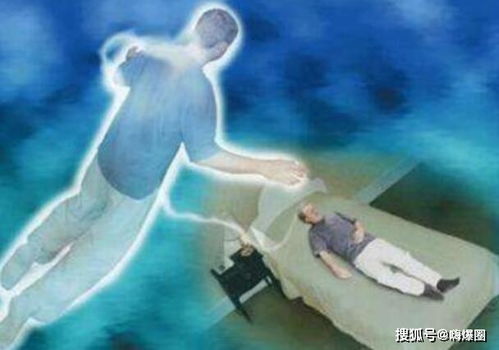 二、 文献背景与历史持续发展语境