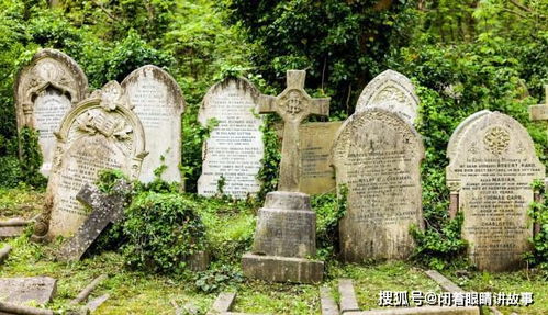 一、坟头马蜂窝的神秘玄学力量