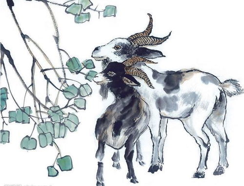 属羊女2026年婚姻状况和姻缘具体如何？