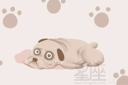 ：梦境与潜意识交互的学理探讨