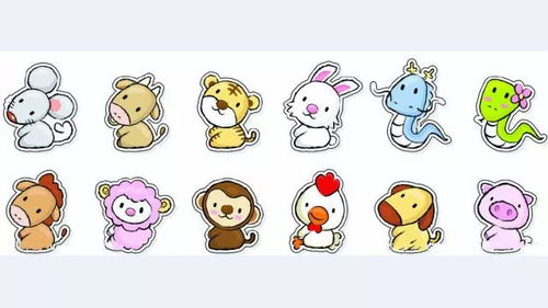 2022年生肖对应的数字具体含义是什么？