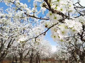 美食攻略——嘴巴也要开趴体 🍽️🥟🍲