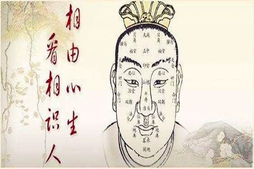 阴骘纹所映射之人格特质及社会行为倾向