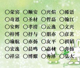 （1）挑选含“芦”的偏旁部首注意事项：