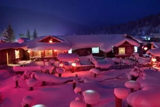 1. 雪韵大街（名字听着像古诗，却是卖烤红薯的路）