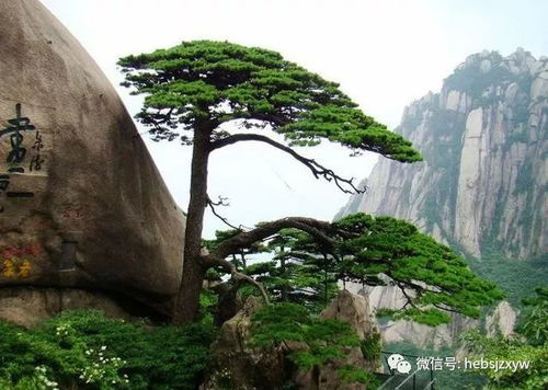 2026年天气玄学预测