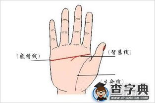 女孩右手断掌图片，能详细解释断掌算命图解大全吗？