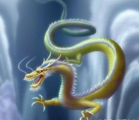 2026年蛇年出生和龙年出生哪个更好？2025年属蛇与龙的人有何特殊含义？