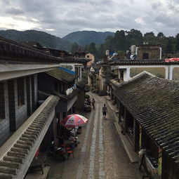 交通：一场与命运的较量