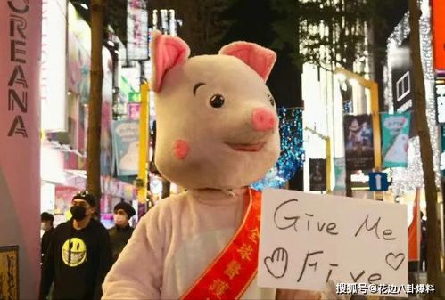 小猪变身：从懒散到恐怖
