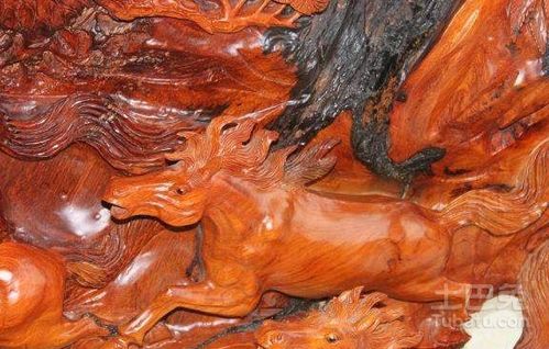 一、 根雕在风水中的文化内涵与象征意义