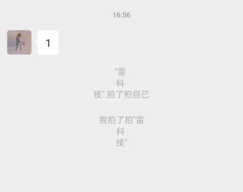 ：数字社交生态中的身份构建与符号表征