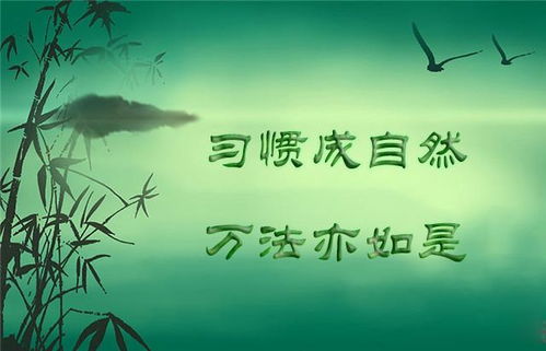 事业成功的基石：积累与提升的重要性