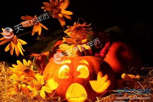 万圣节的历史渊源与文化意义