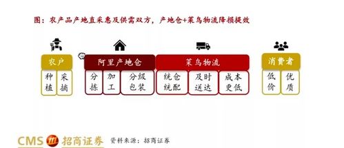 一、 风水学原理在公司命名中的应用架构