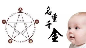 生肖与名字：相生相克的智慧（其实就是瞎凑）
