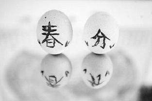 一、  理发择吉的理论基础与禁忌体系