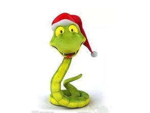 钻皮出羽是哪个生肖？