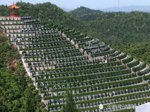 2026年1月和9月分别有哪天适合迁墓和移坟的吉日？