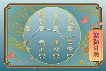 5. 天相星