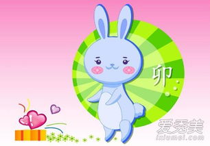 2026年属猪人下半年运势如何？