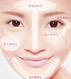 1. 面相学的面部特征解析