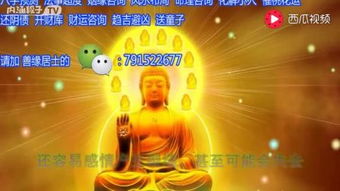 1978年属什么生肖的凶兆是什么意思？