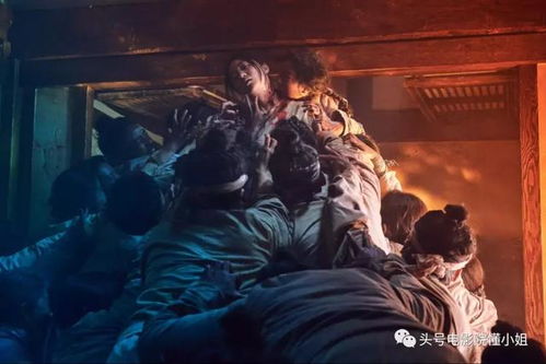 丧尸大楼奇遇记中，主人公是如何在危机四伏的环境中逃脱的？——基于风水堪舆与生肖命理的深度学术分析报告