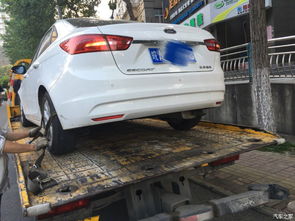 2025年6月29日提车吉日：基于生肖、 星座与风水学的深度解析