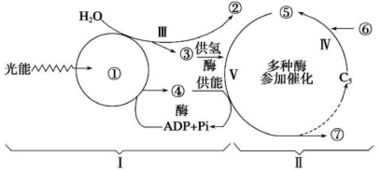 一、  ：阳光晴朗意象的符号学实际价值与取名逻辑