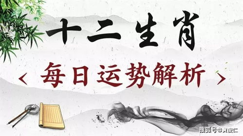 一、 性格特质分析：理解内在动力与潜在挑战
